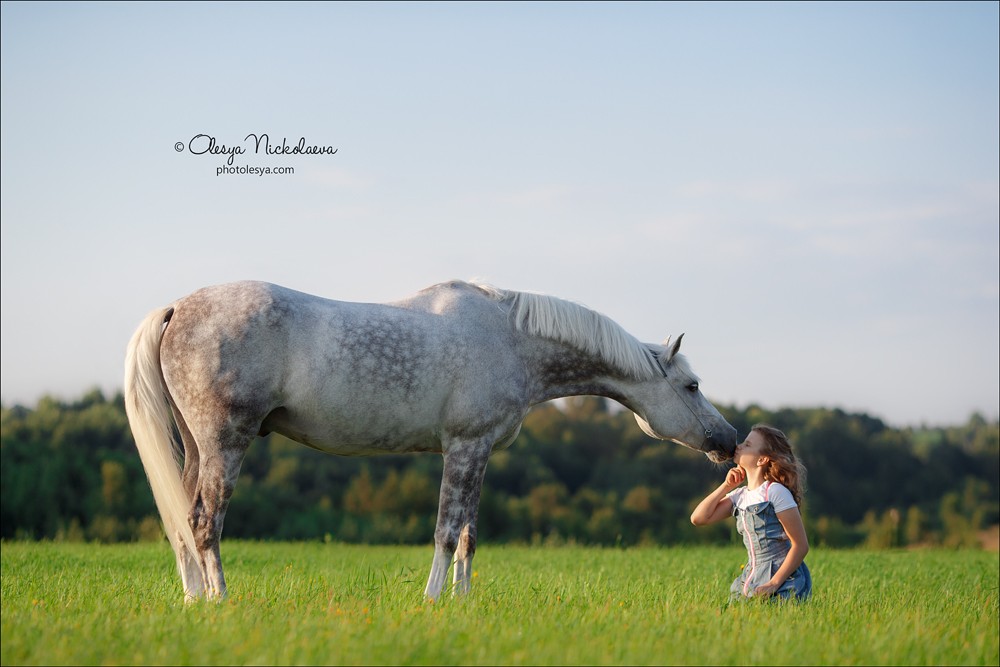  лошади и люди  ◆ horse and human