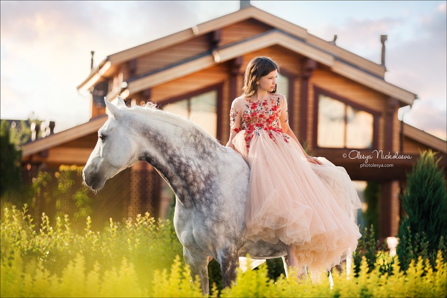  лошади и люди  ◆ horse and human