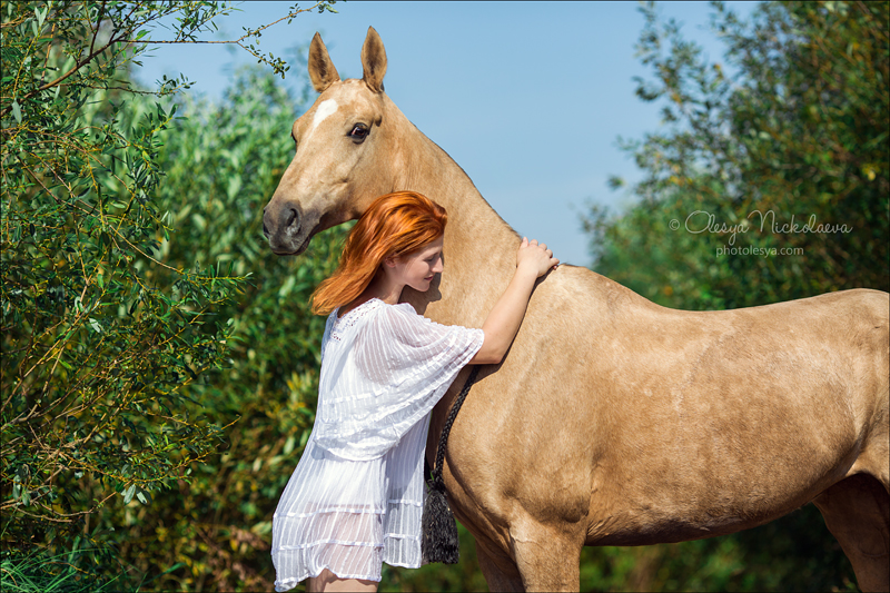  лошади и люди  ◆ horse and human