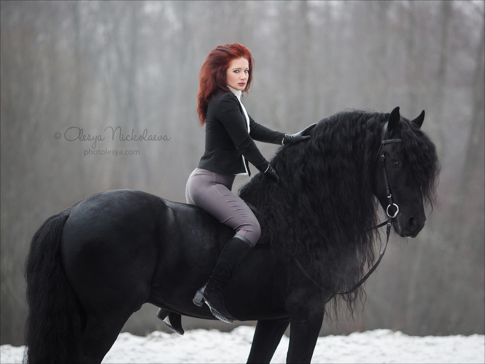  лошади и люди  ◆ horse and human