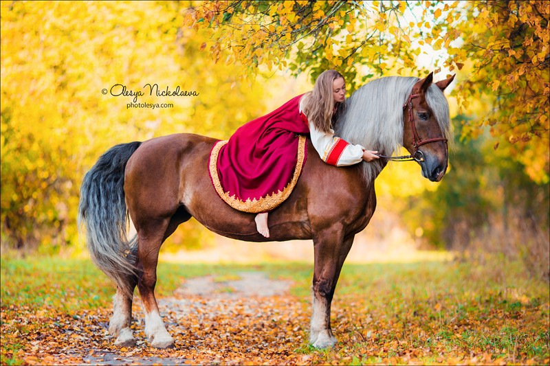  лошади и люди  ◆ horse and human