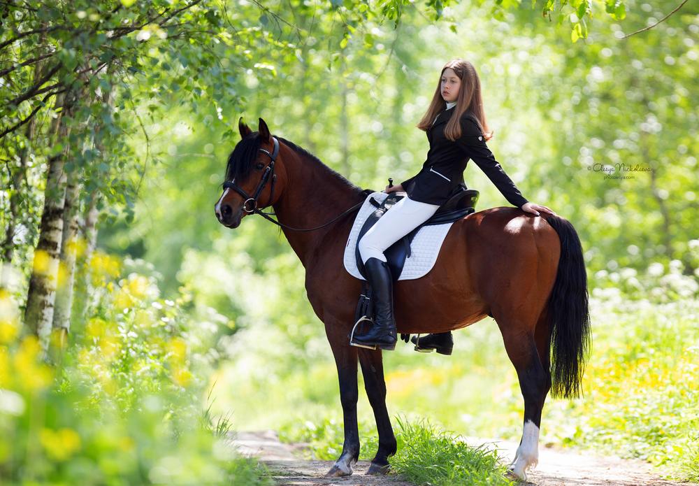  лошади и люди  ◆ horse and human