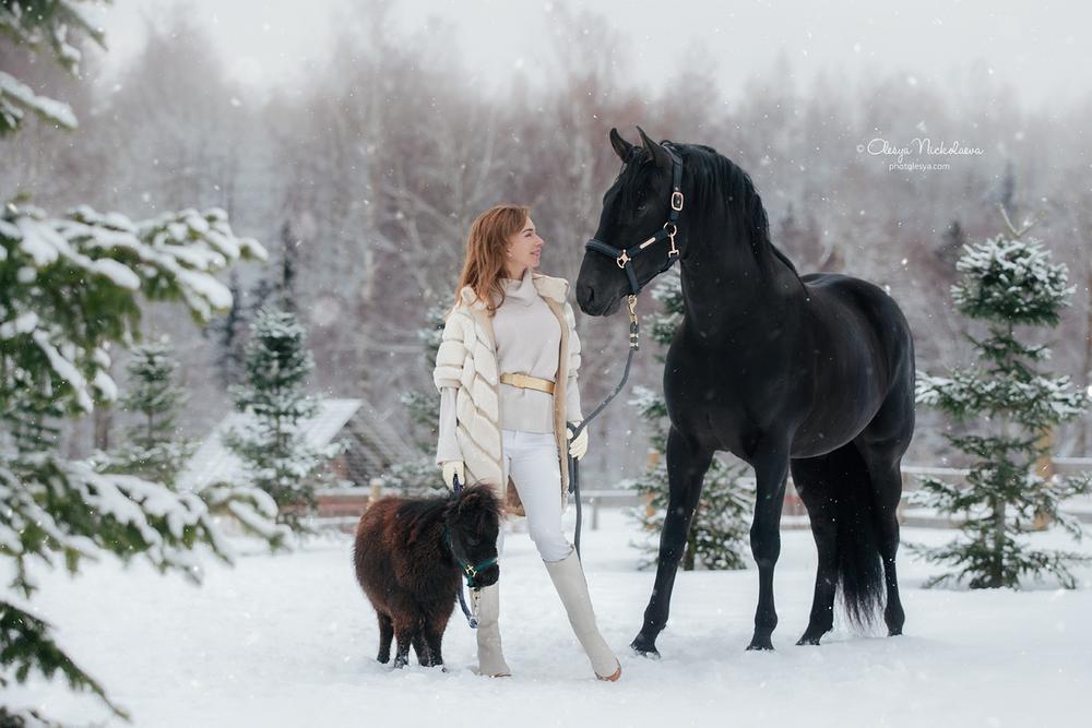  лошади и люди  ◆ horse and human