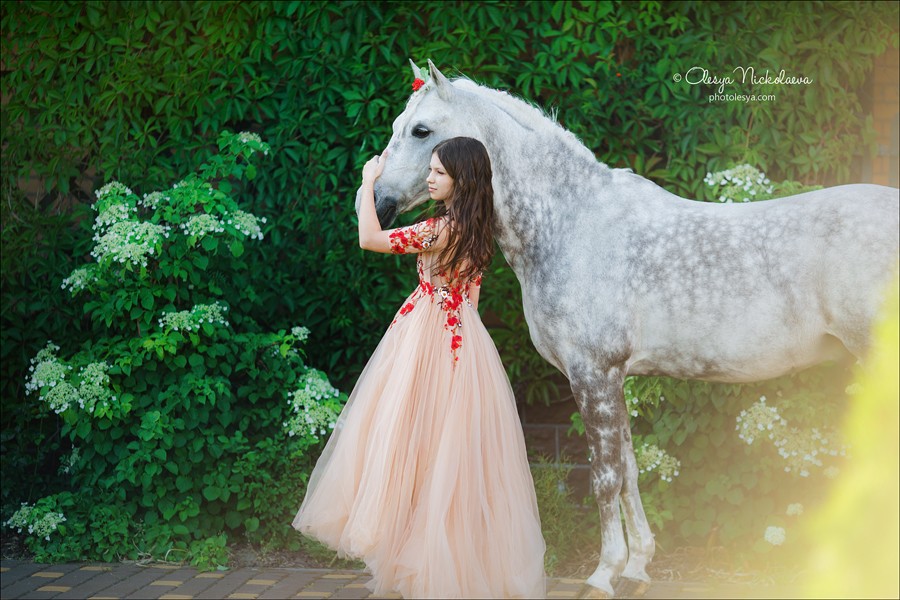  лошади и люди  ◆ horse and human