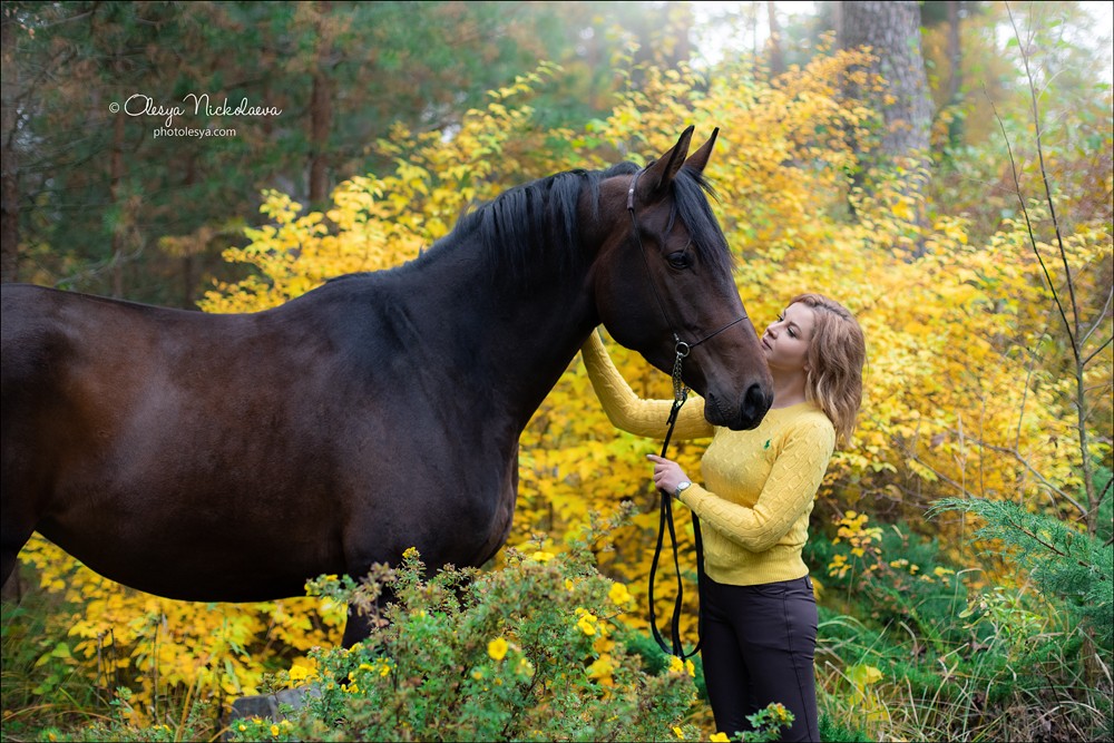  лошади и люди  ◆ horse and human