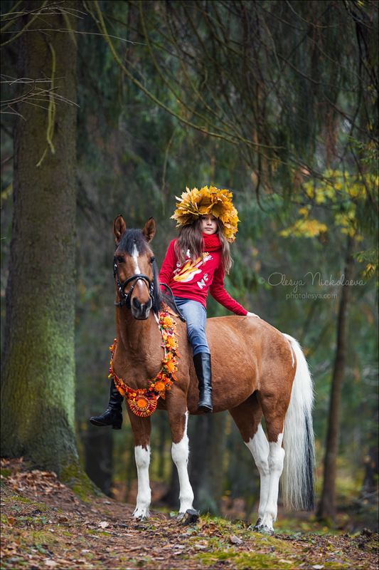  лошади и люди  ◆ horse and human