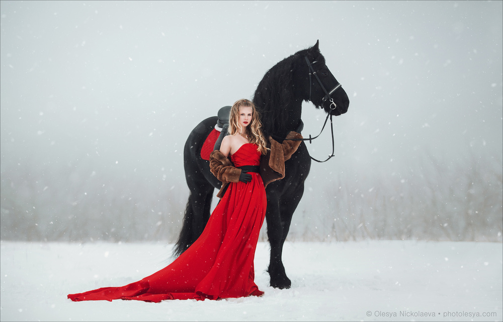  лошади и люди  ◆ horse and human