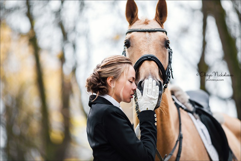  лошади и люди  ◆ horse and human