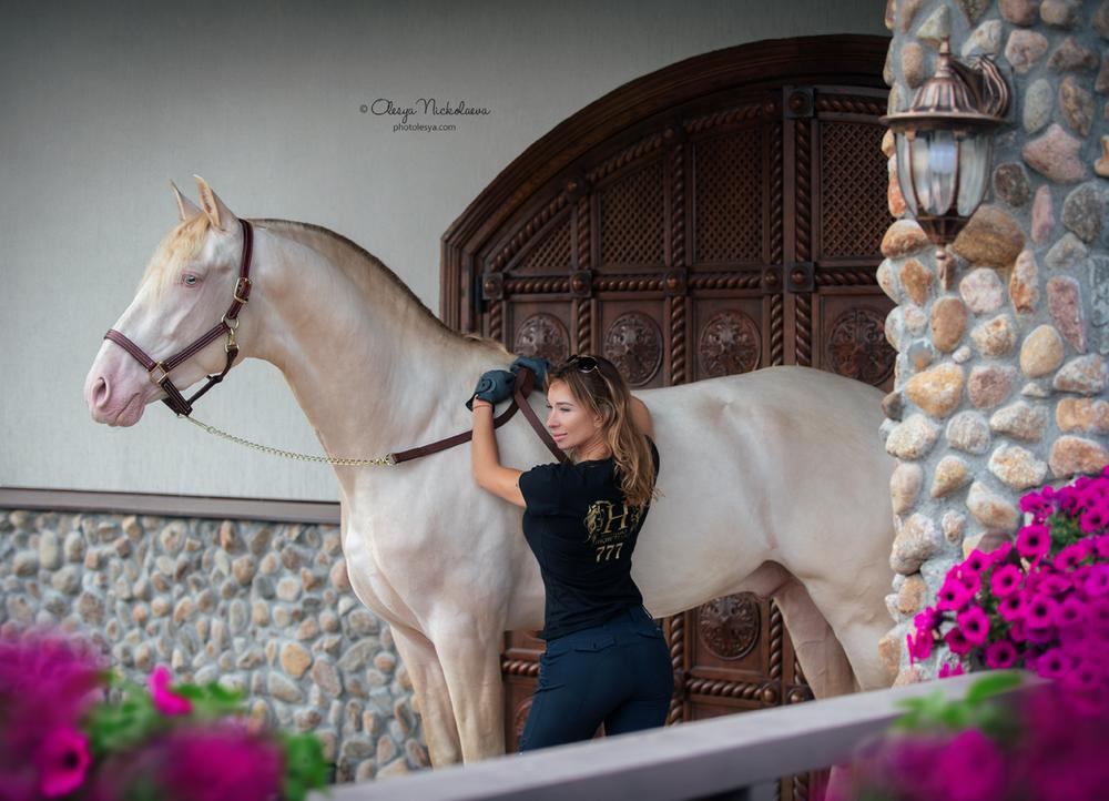  лошади и люди  ◆ horse and human
