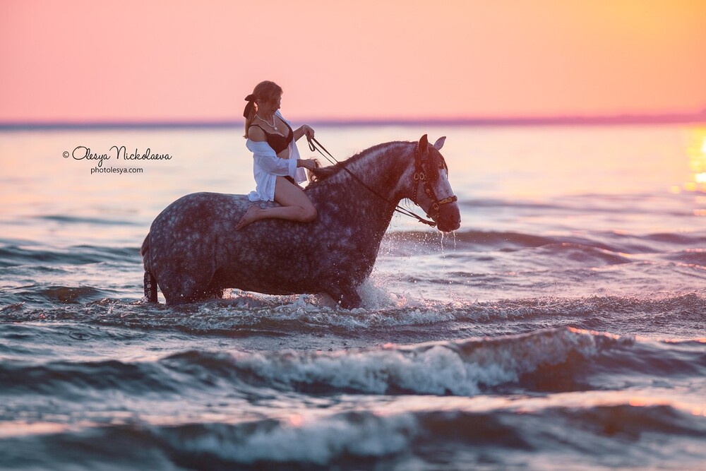  лошади и люди  ◆ horse and human