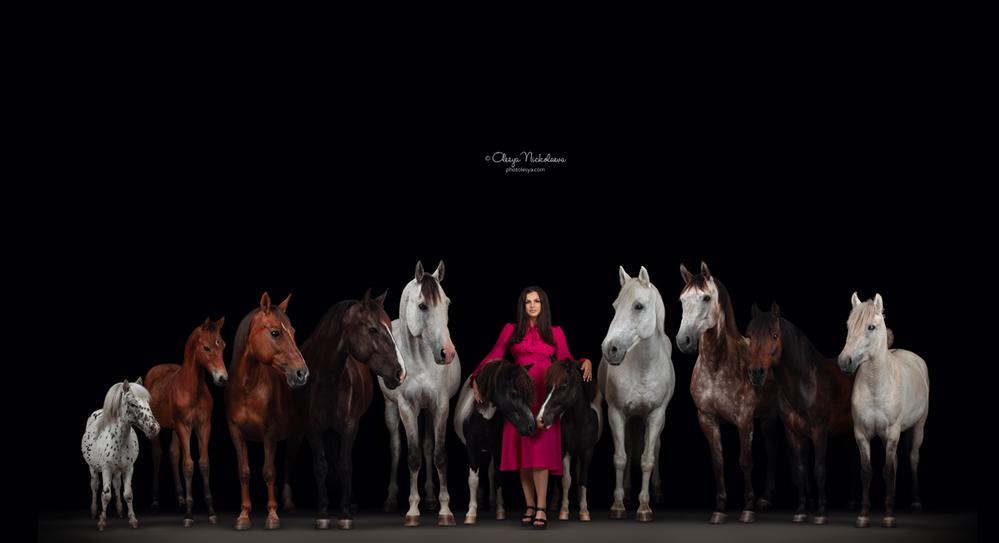 лошади / человек и лошадь ◆ horse and human