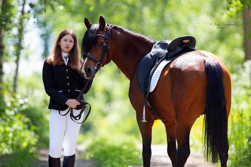  лошади и люди  ◆ horse and human