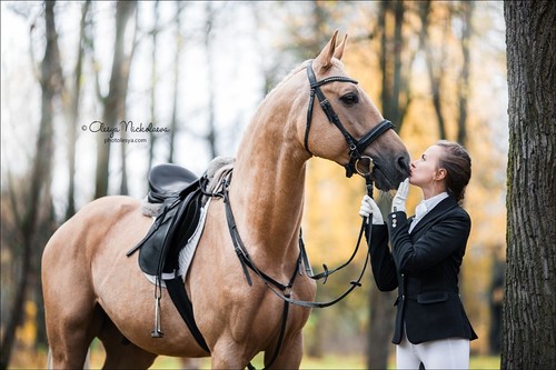  лошади и люди  ◆ horse and human
