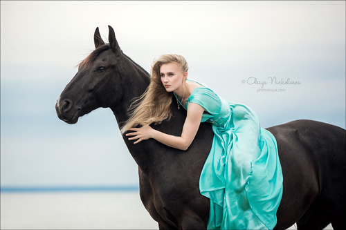  лошади и люди  ◆ horse and human
