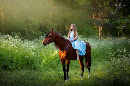  лошади и люди  ◆ horse and human