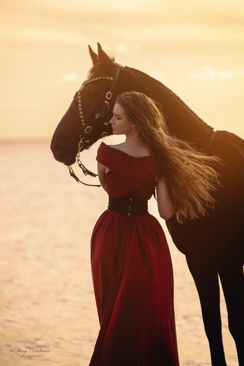  лошади и люди  ◆ horse and human