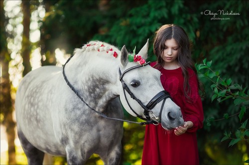  лошади и люди  ◆ horse and human