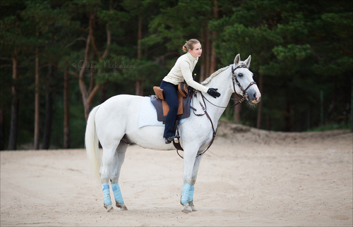  лошади и люди  ◆ horse and human