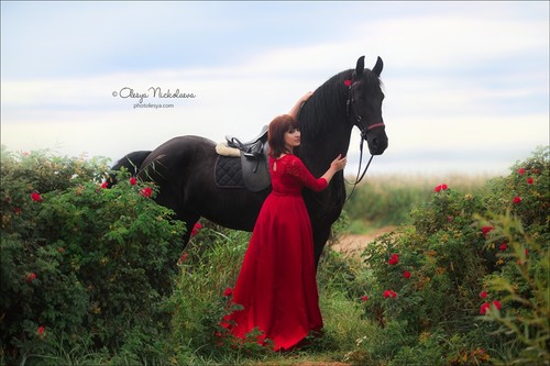 лошади и люди  ◆ horse and human