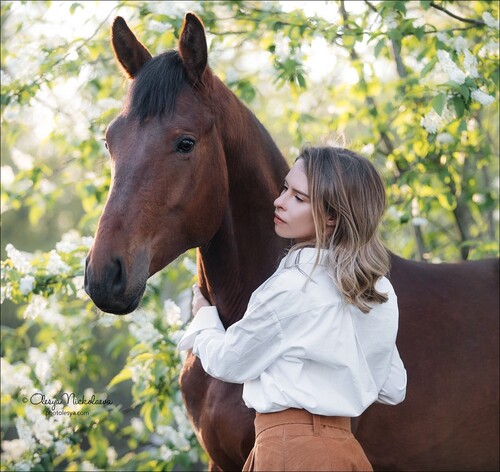  лошади и люди  ◆ horse and human
