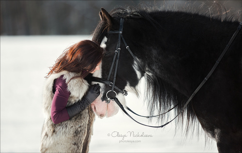  лошади и люди  ◆ horse and human