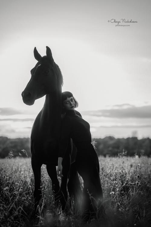  лошади и люди  ◆ horse and human
