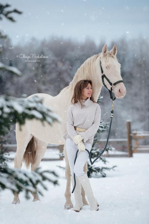  лошади и люди  ◆ horse and human
