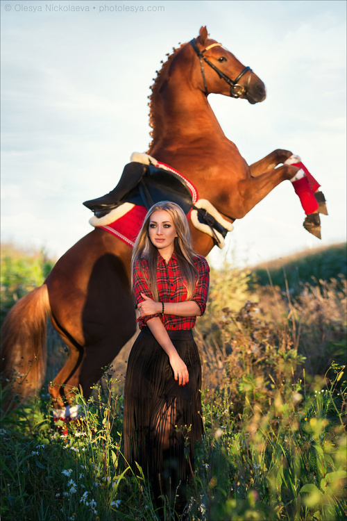  лошади и люди  ◆ horse and human