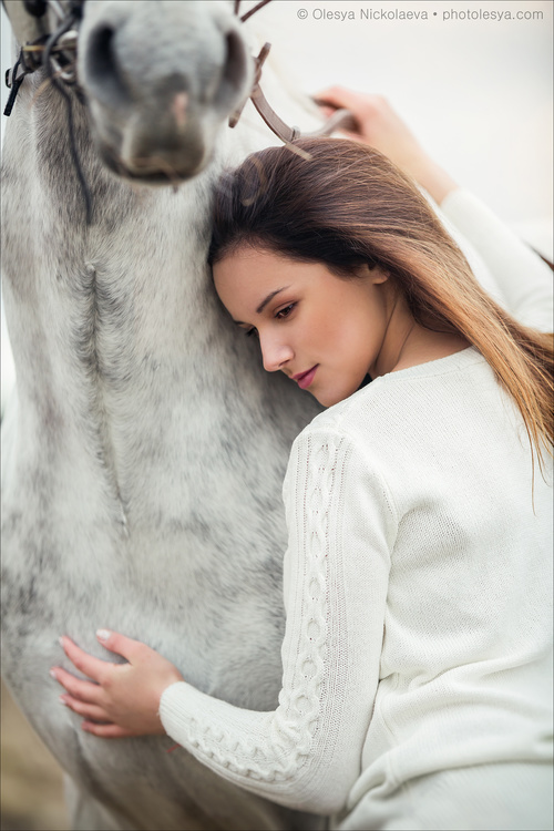  лошади и люди  ◆ horse and human