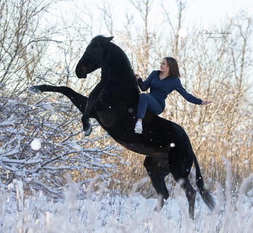  лошади и люди  ◆ horse and human