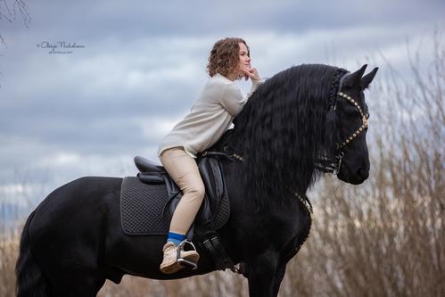  лошади и люди  ◆ horse and human