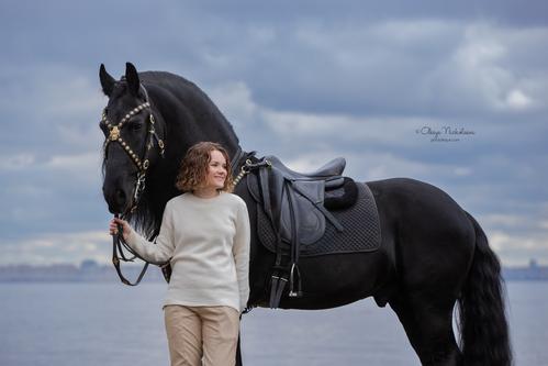  лошади и люди  ◆ horse and human
