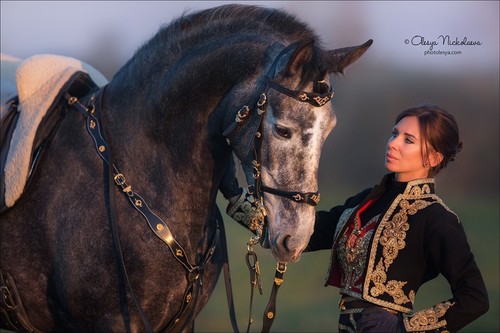  лошади и люди  ◆ horse and human