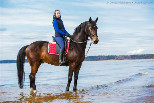 лошади и люди  ◆ horse and human