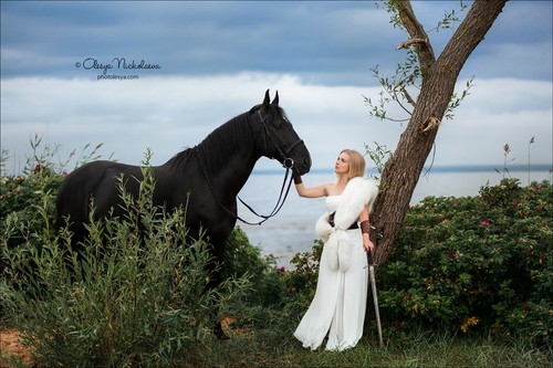  лошади и люди  ◆ horse and human