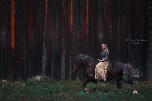  лошади и люди  ◆ horse and human