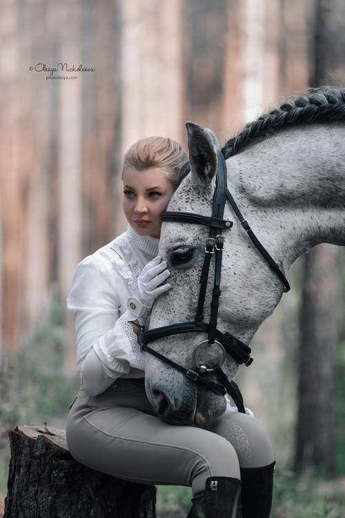  лошади и люди  ◆ horse and human