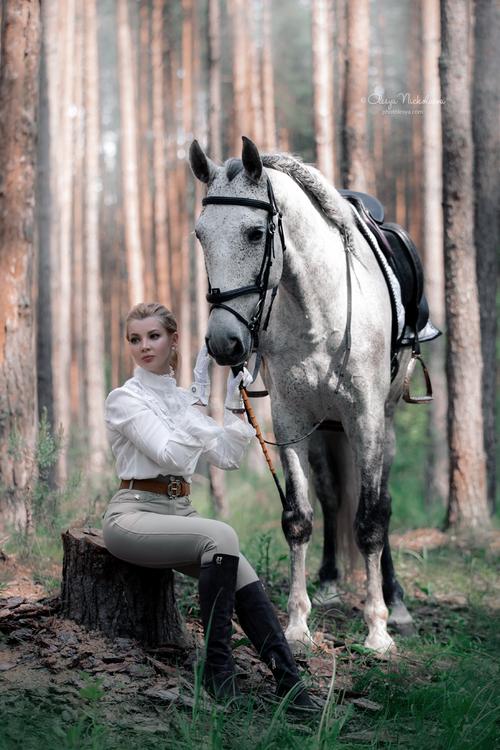  лошади и люди  ◆ horse and human
