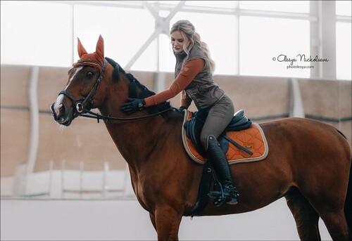  лошади и люди  ◆ horse and human