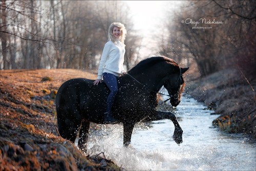  лошади и люди  ◆ horse and human