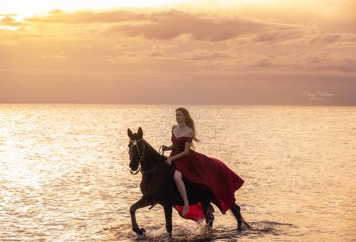  лошади и люди  ◆ horse and human