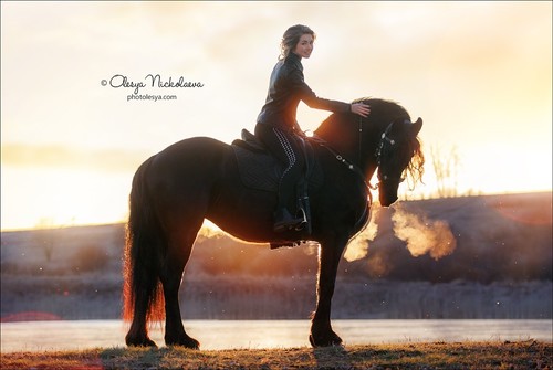 лошади и люди  ◆ horse and human