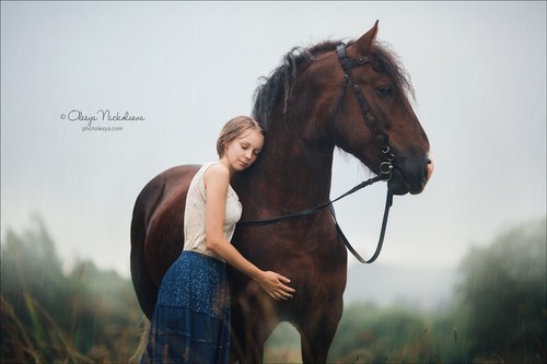  лошади и люди  ◆ horse and human