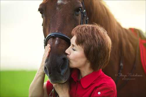  лошади и люди  ◆ horse and human