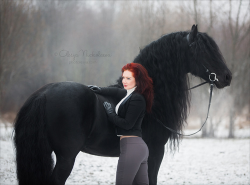  лошади и люди  ◆ horse and human