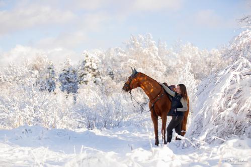  лошади и люди  ◆ horse and human