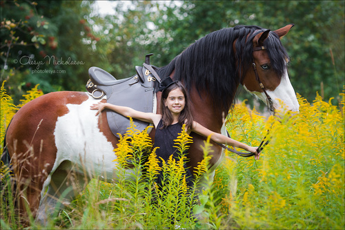  лошади и люди  ◆ horse and human