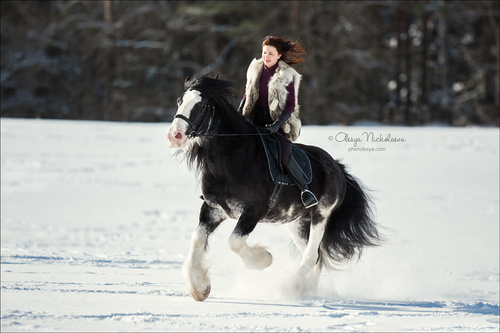  лошади и люди  ◆ horse and human