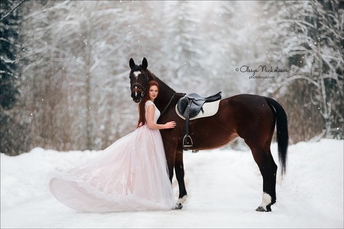  лошади и люди  ◆ horse and human