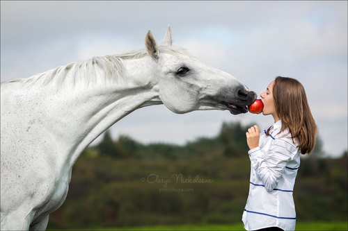  лошади и люди  ◆ horse and human